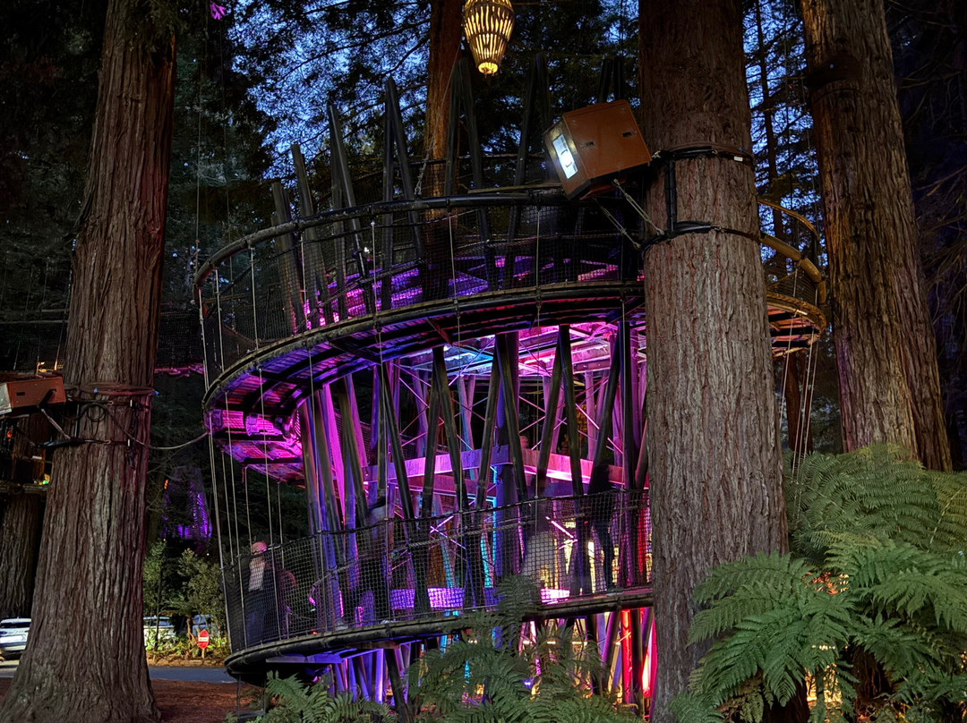 Redwoods Treewalk-罗托鲁瓦必去景点