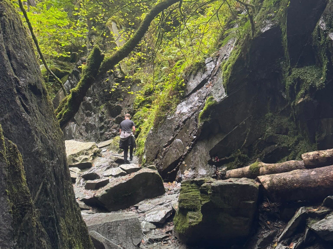 Cathedral Quarry (Cathedral Cave)-Little Langdale必去景点