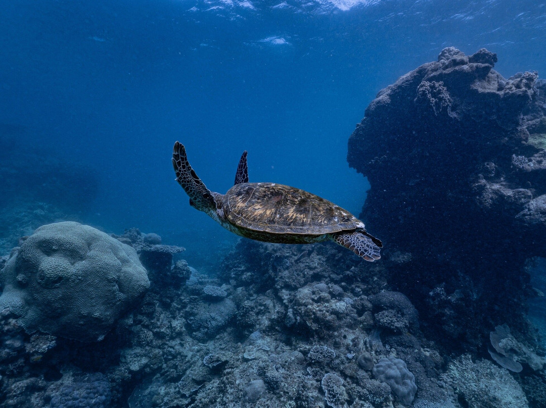 Coral Bay Ecotours-珊瑚湾必去景点