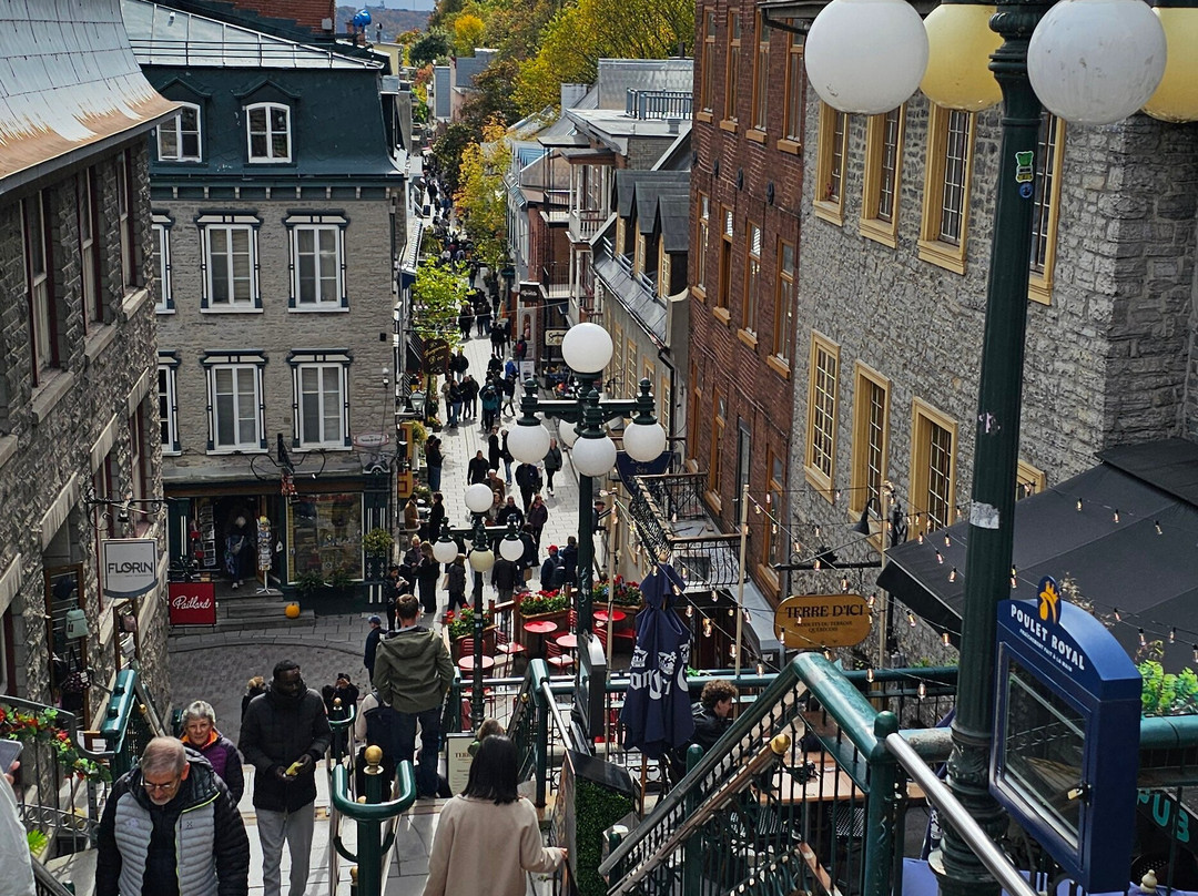 Breakneck Steps (L'Escalier Casse-Cou)-魁北克市必去景点