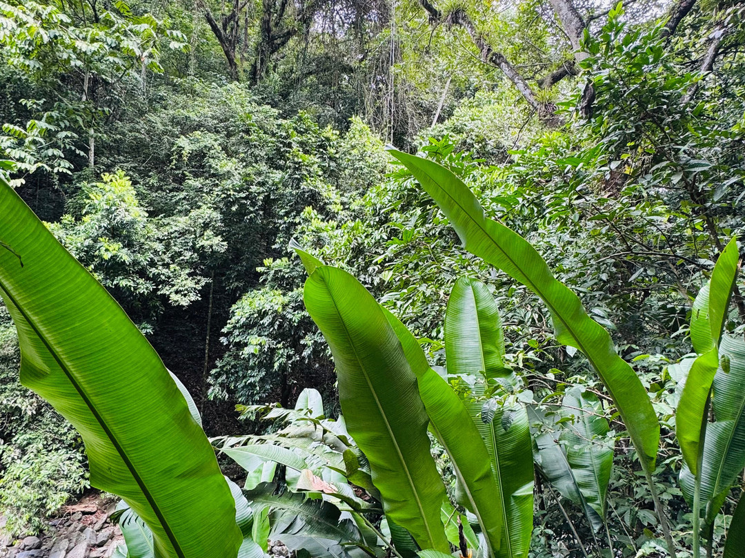 Los Saltos de Jima-Bonao必去景点