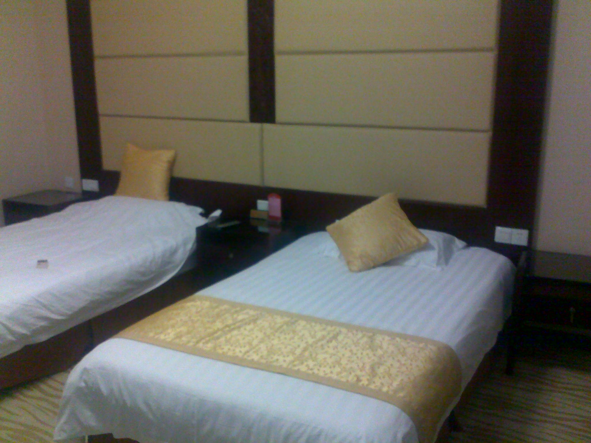 宿迁中山水天大酒店-客卧