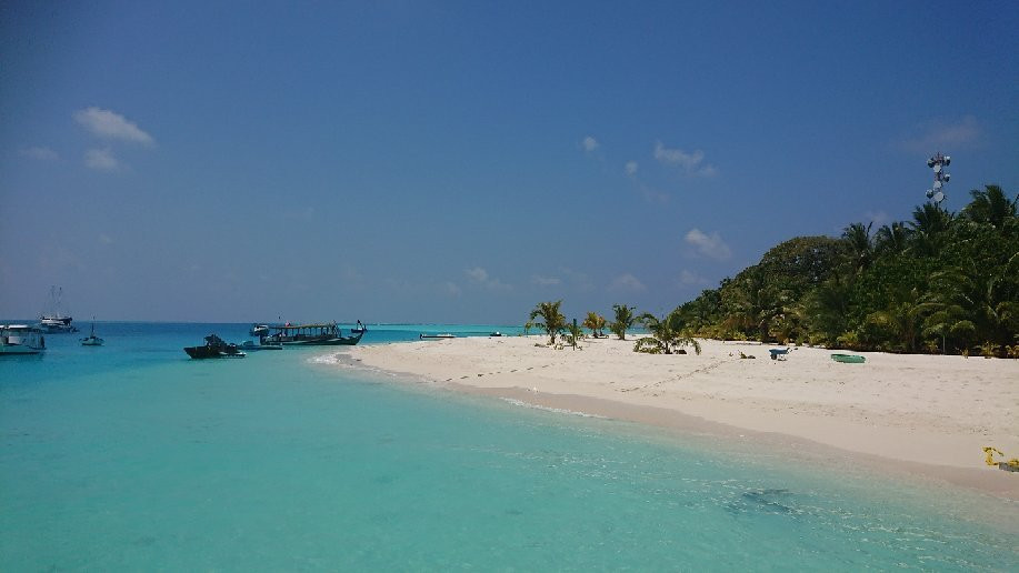 迪格瑞岛酒店住宿-Alkina Lodge