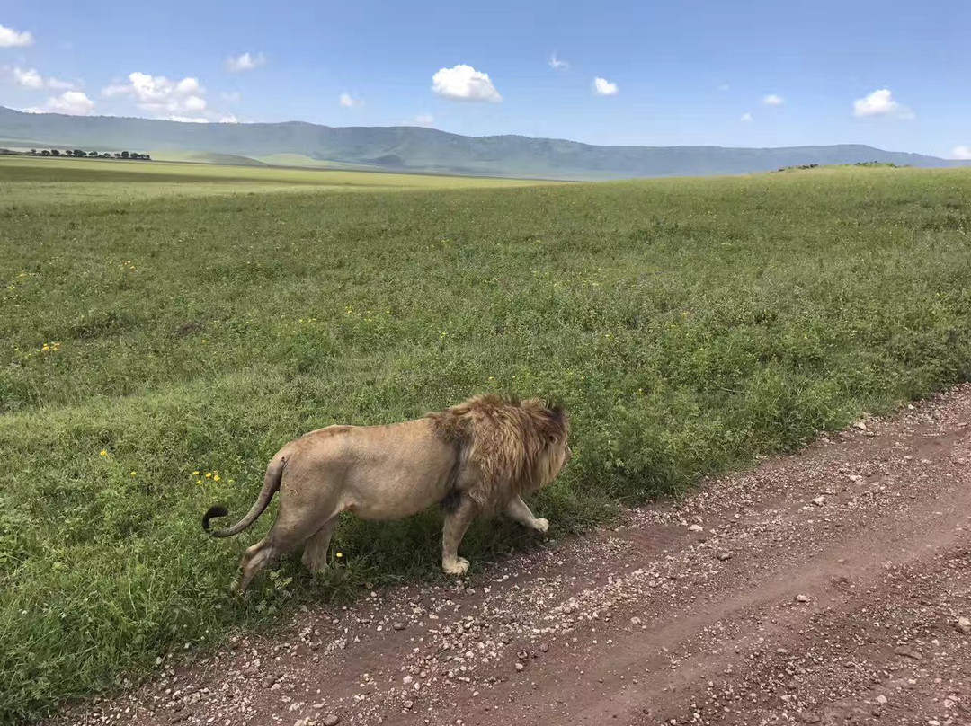 民权县旅游攻略图片