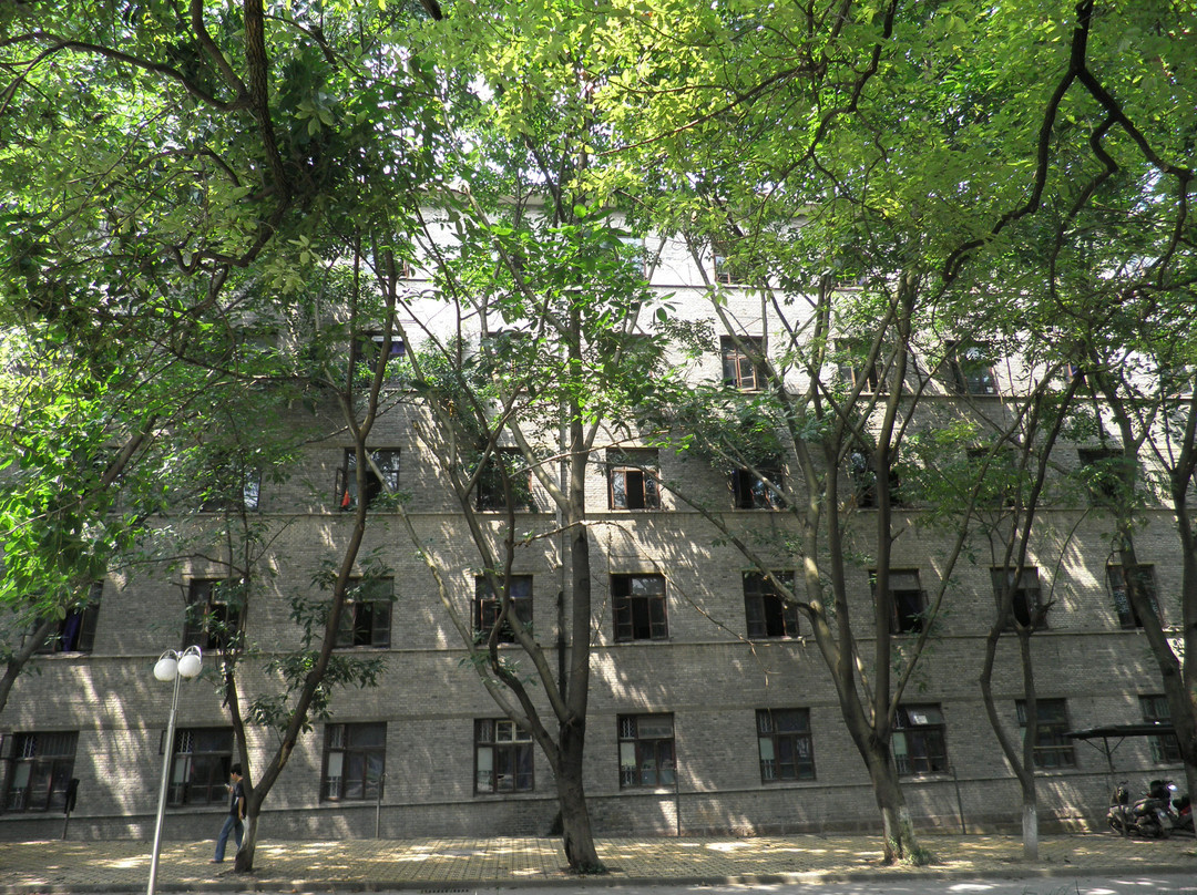 西南大学-重庆市必去景点