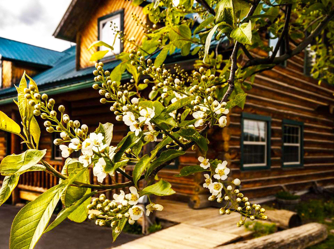 Dodge Peak Lodge主图