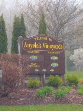Anyela's Vineyards景点图片
