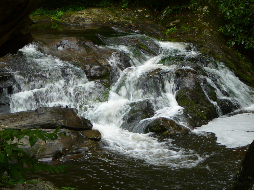 Little River Road景点图片