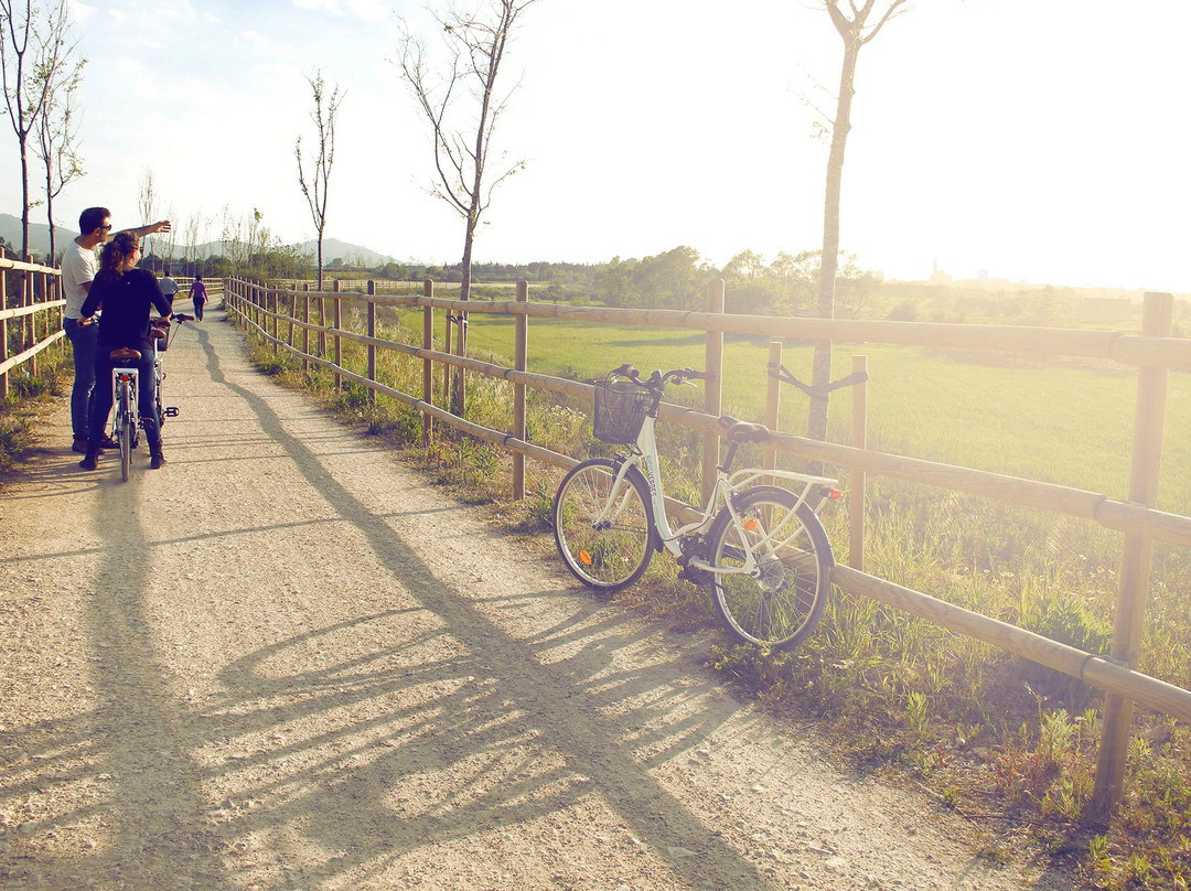 Bicis Verdes-马纳科尔必去景点