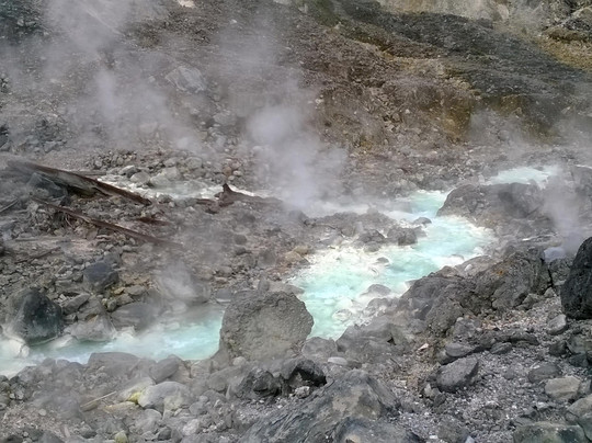 Bogor Private Tour Guide