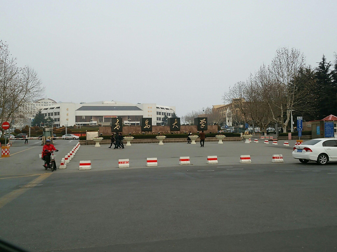 青岛大学
