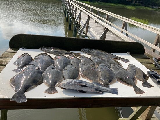 Bill Buster Charters-Saint Helena Island必去景点