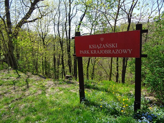 Książ Landscape Park景点图片