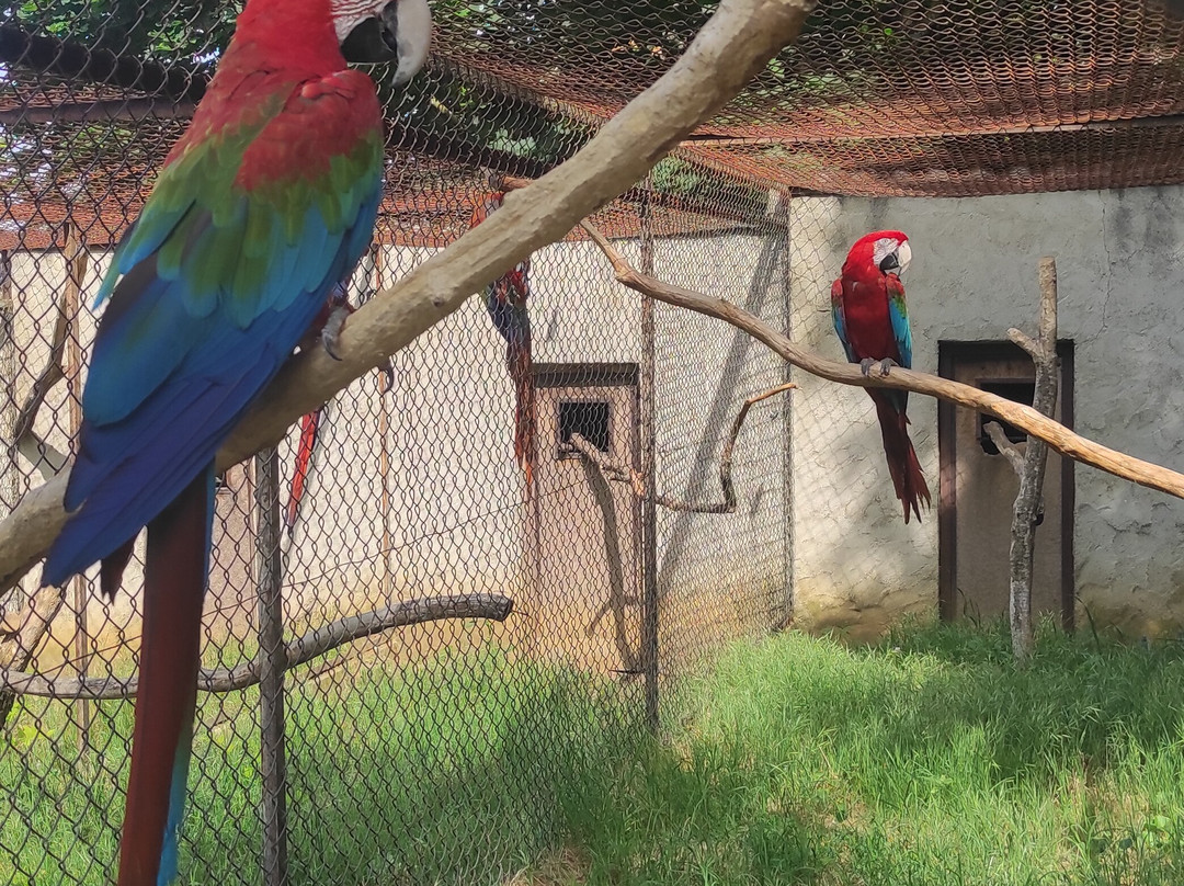 Zoo d'Upie Le Jardin Aux Oiseaux景点图片