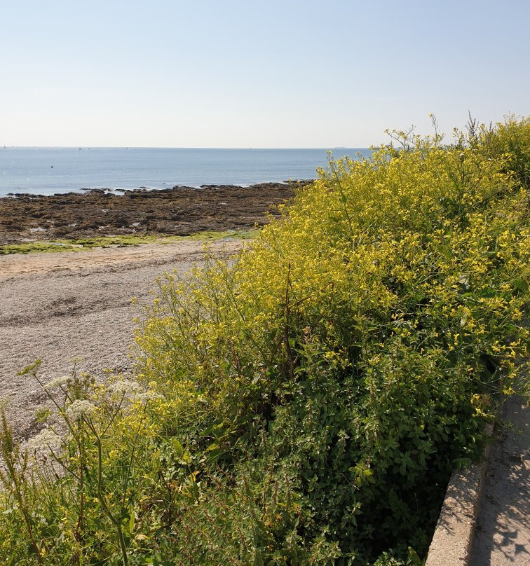 Gyllyngvase Beach景点图片