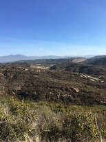 Laguna Coast Wilderness Park-拉古纳海滩必去景点