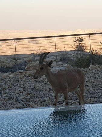 Beresheet By Isrotel Exclusive主图