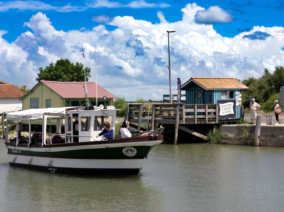 L'aigrette 2 Seudre Croisières-Mornac sur Seudre必去景点