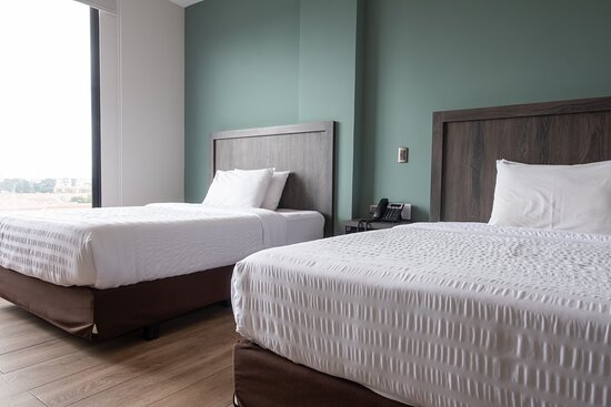 REEC Machala by Oro Verde Hotels-酒店景观