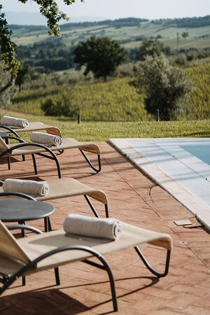 Terenzi Hospitality & Wine主图