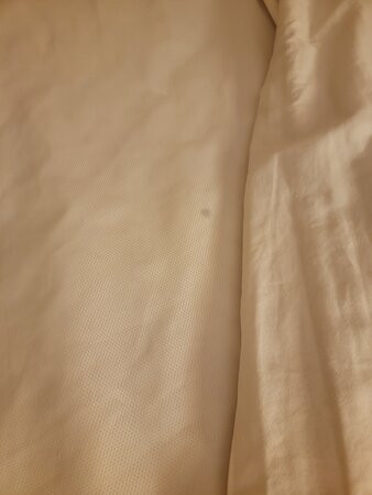 Travelodge by Wyndham Muskegon主图