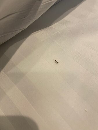 Hotel Malaga Nostrum主图