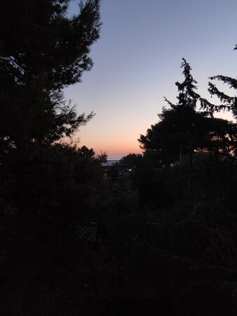 Villa Maria Ester B&B主图