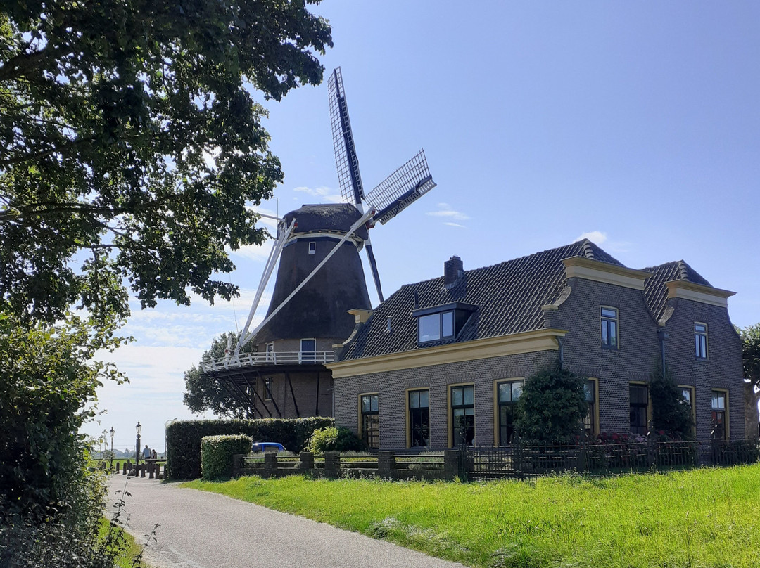 Molen 'de Zwaluw' (1784)