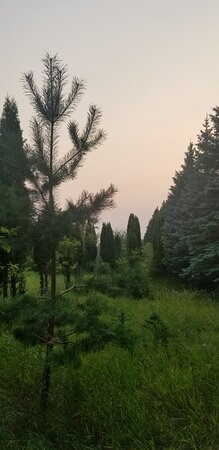 Frank Skinner Arboretum Trail-Roblin必去景点