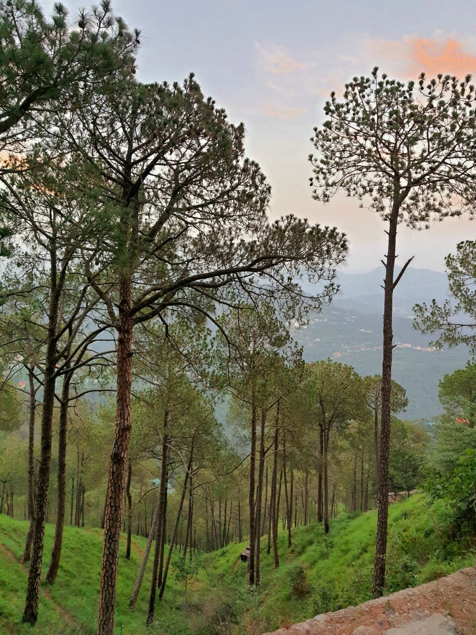 Kasauli Rocks B&B-酒店景观