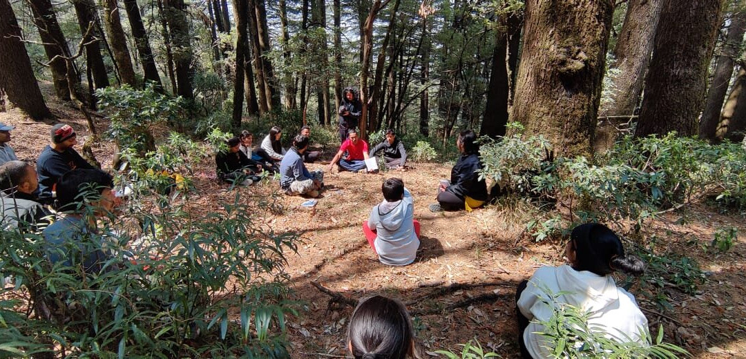 Forest Therapy India-Pangot必去景点