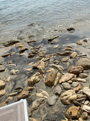 VOI阿利米尼假日公园主图