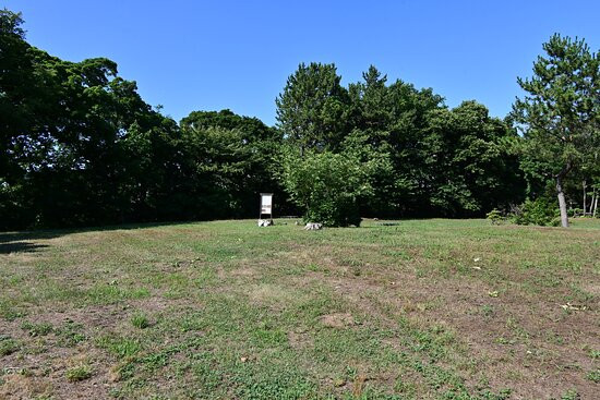 Kamegaoka Stone Age Era Historic Ruins景点图片