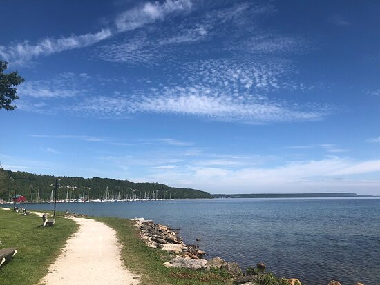 Wiarton Willie Statue景点图片