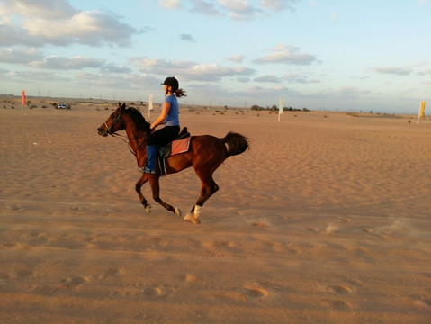 Dubai Desert Horse Ride Experience-迪拜必去景点