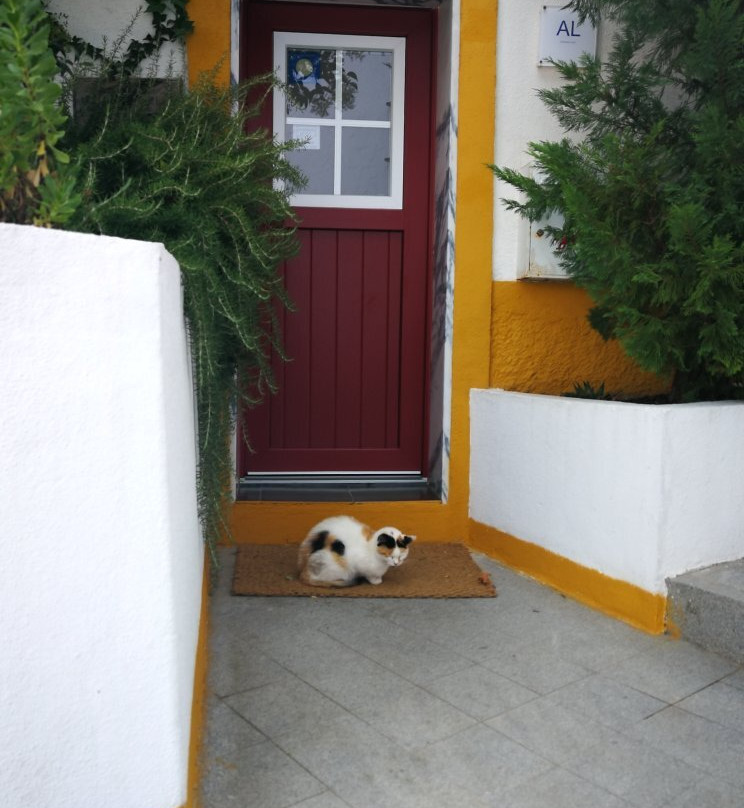 Constância Guest House主图