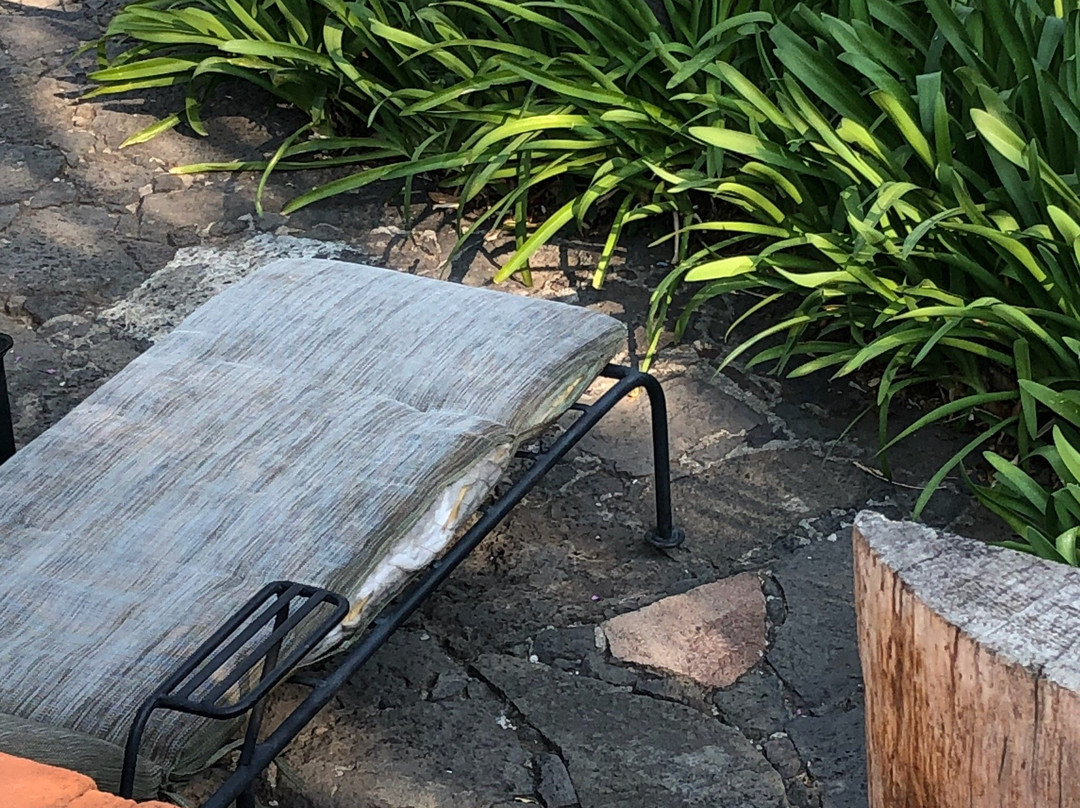 Hotel Villas Valle Mistico主图