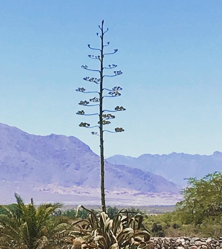 Hotel Paris-Texas主图