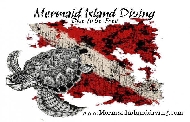 Mermaid Island Diving景点图片