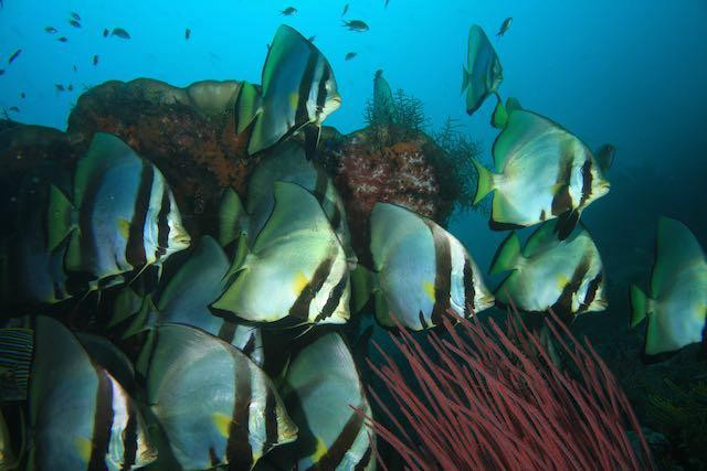 船宿潜水之旅-库布必去景点