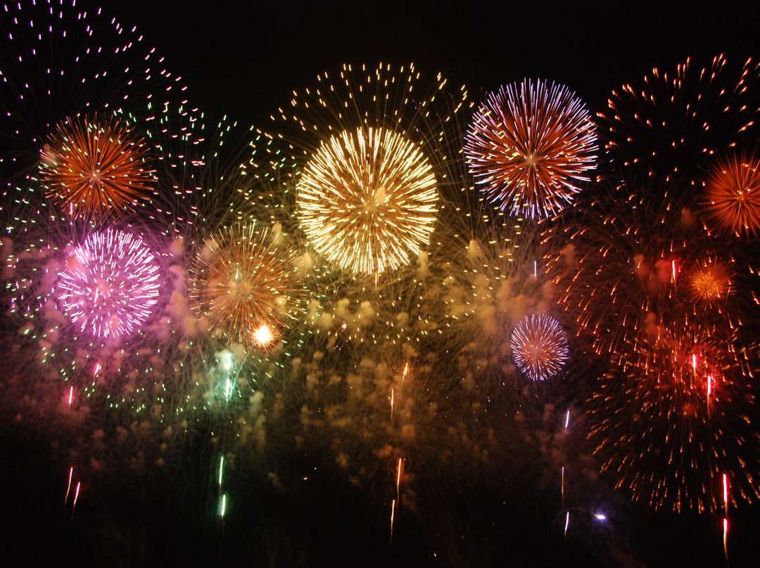 Nagaoka Festival Grand Fireworks景点图片