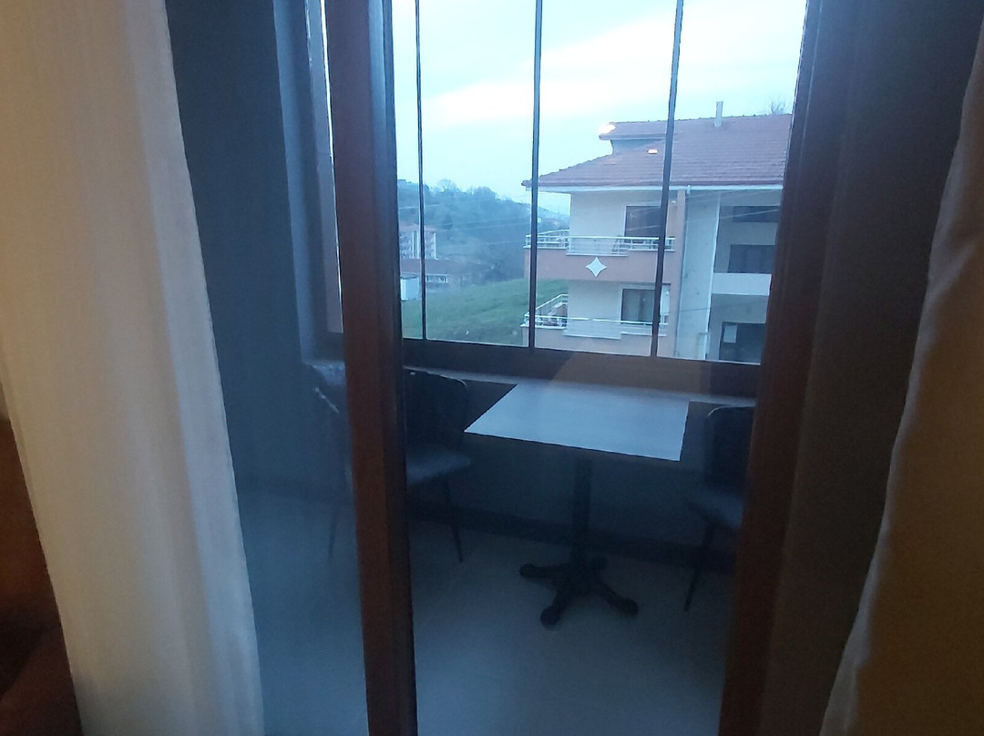 Luxon Hotel Sakarya主图
