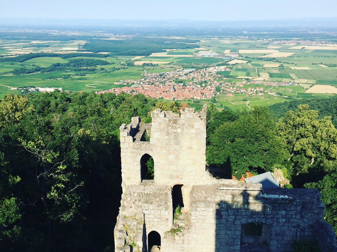 Dambach-la-Ville旅游攻略图片