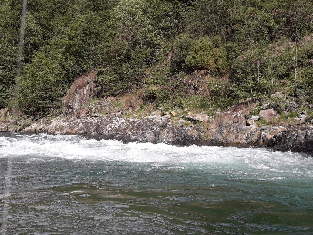 Riserva di Pesca Comunale - Fiume Stura di Lanzo景点图片