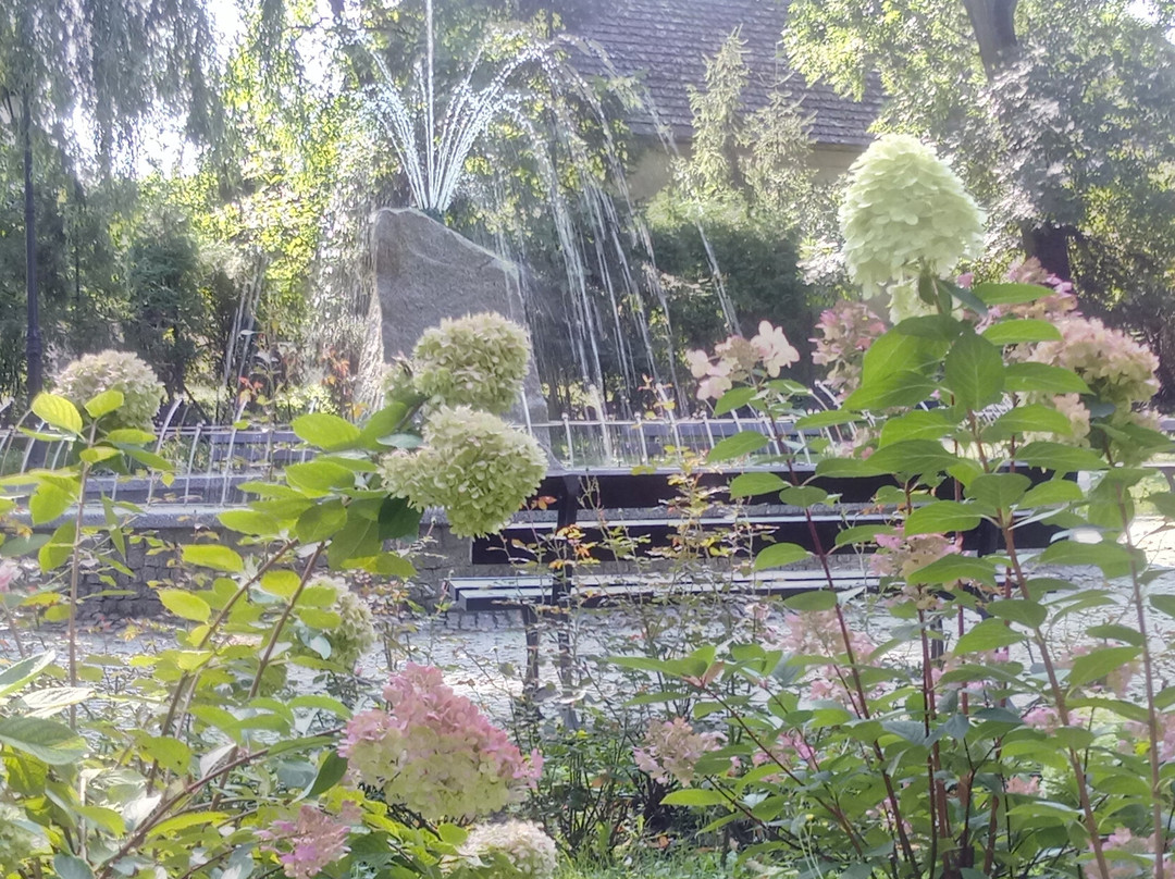 Park z Fontanną Solankową景点图片