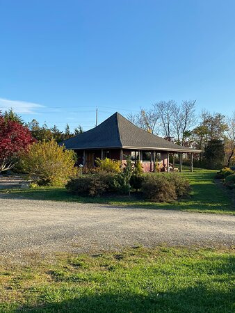 Shalestone Vineyards-Lodi必去景点