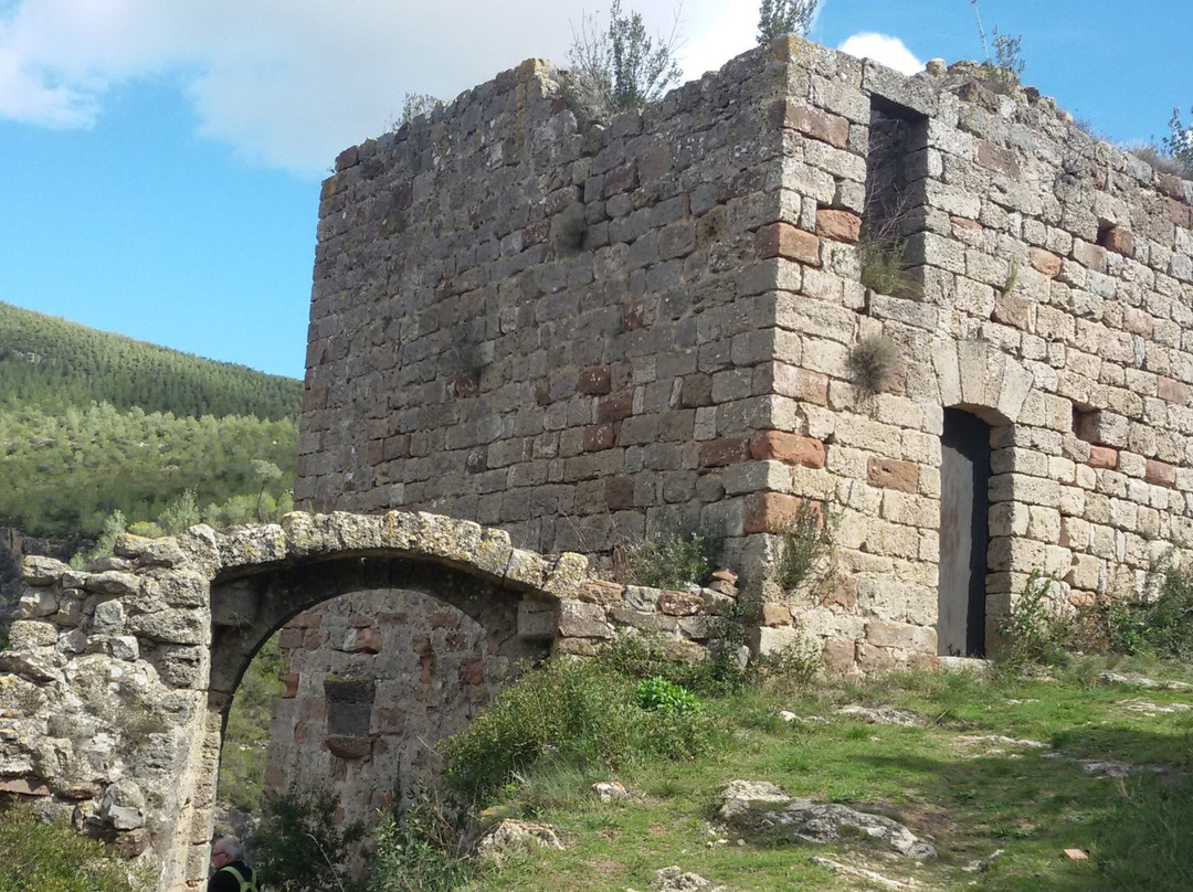 Castell de Mediona景点图片