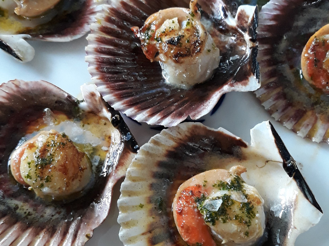 Covas餐馆和美食-Mogay