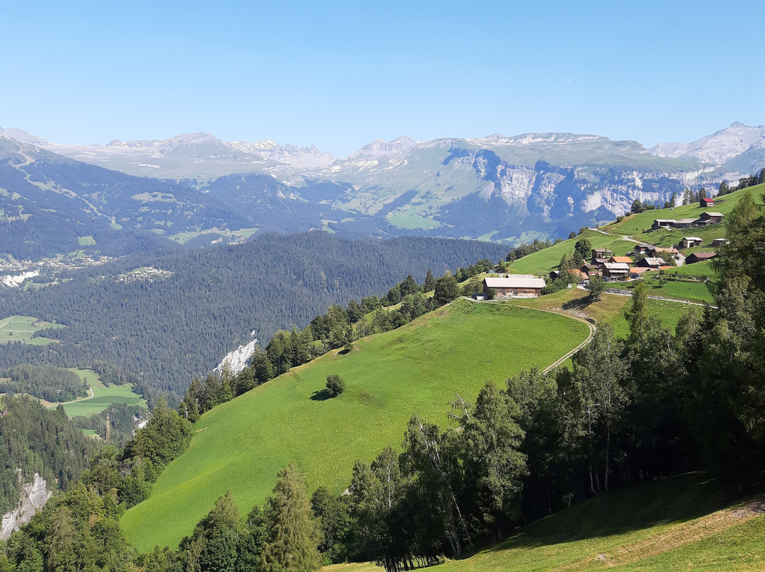 Düra Ast Brün