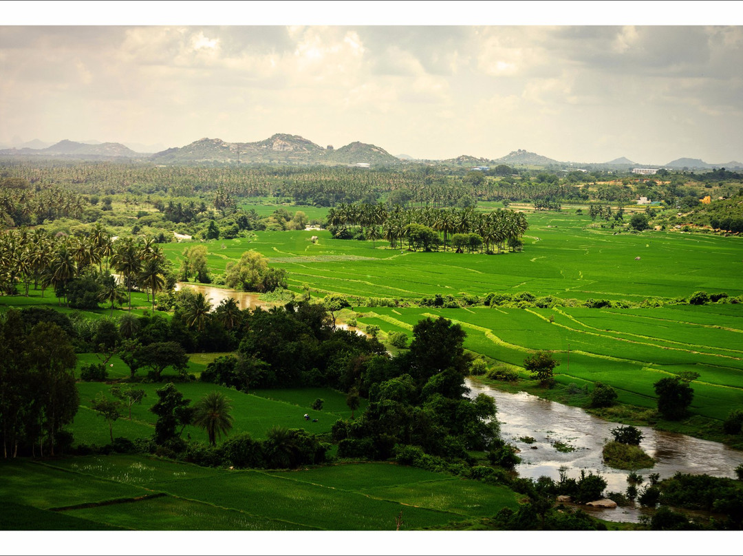Hosur旅游攻略图片
